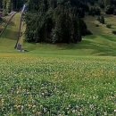 지산스쿨 | 겨울 로망 실현! 지산리조트 스키강습 후기, 이건 꼭 남겨야 해요!