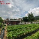 천안시병천면매성보건진료소 이미지