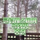 글램핑지점주