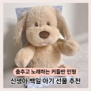 썸퍼피 | 신생아, 아기 백일 선물 추천! 친구출산선물로 주면 좋은 커들반 인형