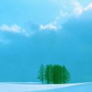 내려놓음 이미지