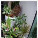 동림여관 이미지