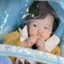 진달래세탁소 이미지