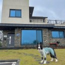 백화stay 이미지