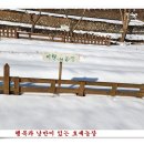 손자농장 Daum카페