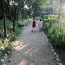 원주허브팜식물박물관 이미지