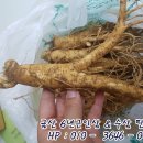 인삼한채