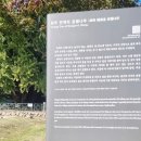 원주 반계리 은행나무 강원도 원주 가볼만한곳 볼거리