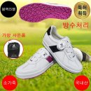 206 이미지