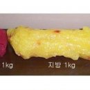 서희핏