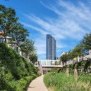 부흥로336번길 이미지