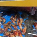 사계절잔치집 이미지