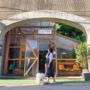 학동 애견 이미지