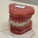 서울S플러스치과의원 이미지