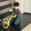 사계절푸른솔태권도 이미지