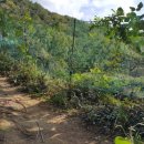 녹산농장 이미지