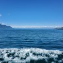 판촉물초록기프트 이미지