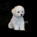 러블리멍 이미지