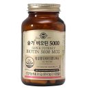 솔가 이미지