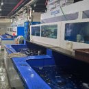 선창가든 | 가을 제철 꽃게와 대하 싸게 살 수 있는 곳(본점 선창수산)