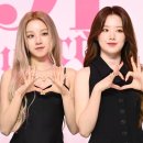 팜코리아약국 | [종목분석] 브이티 1편