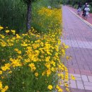 현자농장 이미지