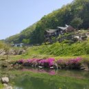 미륵산계곡꿈의궁전마을 이미지