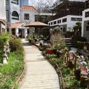 꽃무지풀무지유치원 이미지