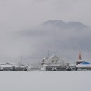 안미초등학교 이미지