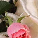 (주)행복한아침 이미지