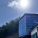 삼척여행 선물용 카페 배나들 삼척샌드 내돈내산 후기