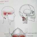 리버스바디 이미지