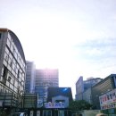 등용 짚불곰장어 이미지