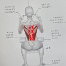 곤코치 피트니스 프리미엄 | 하단pt 등근육 이쁘게만들기 필라테스강사도 꼭하는 운동 곤코치피트니스프리미엄