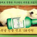 연관장 이미지