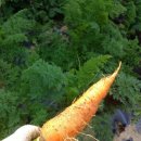 복동농장 이미지