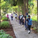 서호동-19 이미지