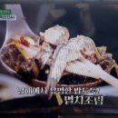 제제밴드여행사 - 제주시 일주동로 240 | 제제밴드여행사