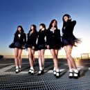 비피팝 카카오 검색결과