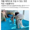 부평스카이 이미지
