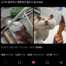 푸른달