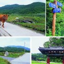 신전2리경로당 네이버블로그