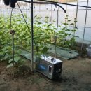 화랑농장 이미지