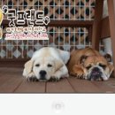 굿프랜드 이미지