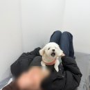 아일왁싱 이미지