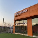 UR(경산시)-[압독로]-하-1 | 홀리독(경산애견카페,대구 근교 애견카페)