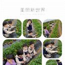 영훈농장 이미지