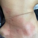 제시뷰티포항1호점 메이크윤