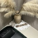 파르마 스테이 이미지