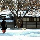 고궁의아침 이미지